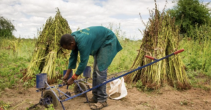 African agrifood trade at a crossroads